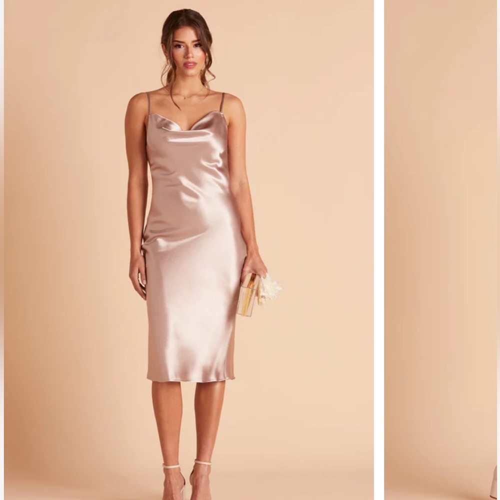 Birdy Grey Lisa MIDI dress